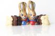 Chocolate easter bunnies on white background