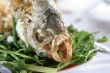 Elephant ear fish