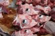 Cows eyes
