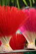 Incense sticks