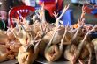 Chicken feet