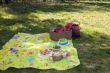 Ready for the picnic