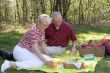 Elderly couple pic-nic