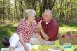 Picnic in the forest