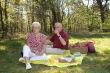 Lovely picnic