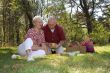 Having a picnic
