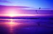 sunset on the beach