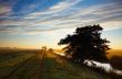autumn morning landscape