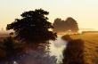 autumn morning landscape
