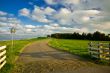 country road in the netherlands