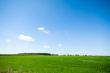 summer background