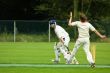 cricket players