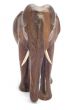 elephant en face