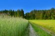 beautiful rural scene