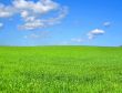 idyllic scenery