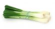 spring onion