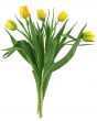 bunch of yellow tulips