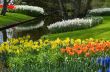flower garden in spring