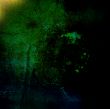 Great for textures and backgrounds