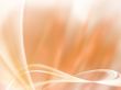 Elegance Design or art element