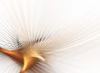 Elegance Design or art element