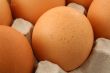 free-range eggs