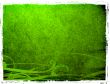 Great for textures and backgrounds
