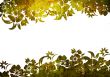floral style backgrounds frame