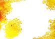 floral style backgrounds frame