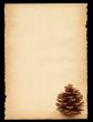 old sheet of paper with cone motif  - XXL size