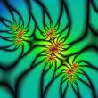 Chrysanthemum garden