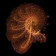 Fractal pseudopods and snail