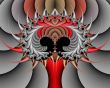 Medusa`s head