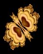 Golden butterfly
