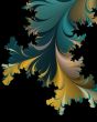Thorny fern