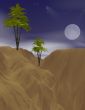 Desert night