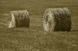 bale of hay