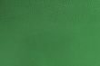 close-up of green leather texture