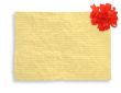 creased blank paper page with decoration