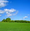idyllic summer landscape