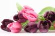 Spring flower bouquet