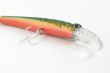 Fishing lure