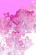 Flowers abstract