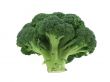appetizing broccoli on pure white background