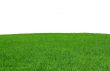 isolated grass field