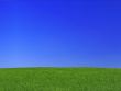 peaceful grassland scenic