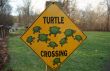 Turtle Sign