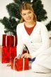Christmas Gril