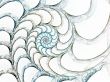 Shell of a Spiral Light