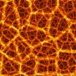 fire web